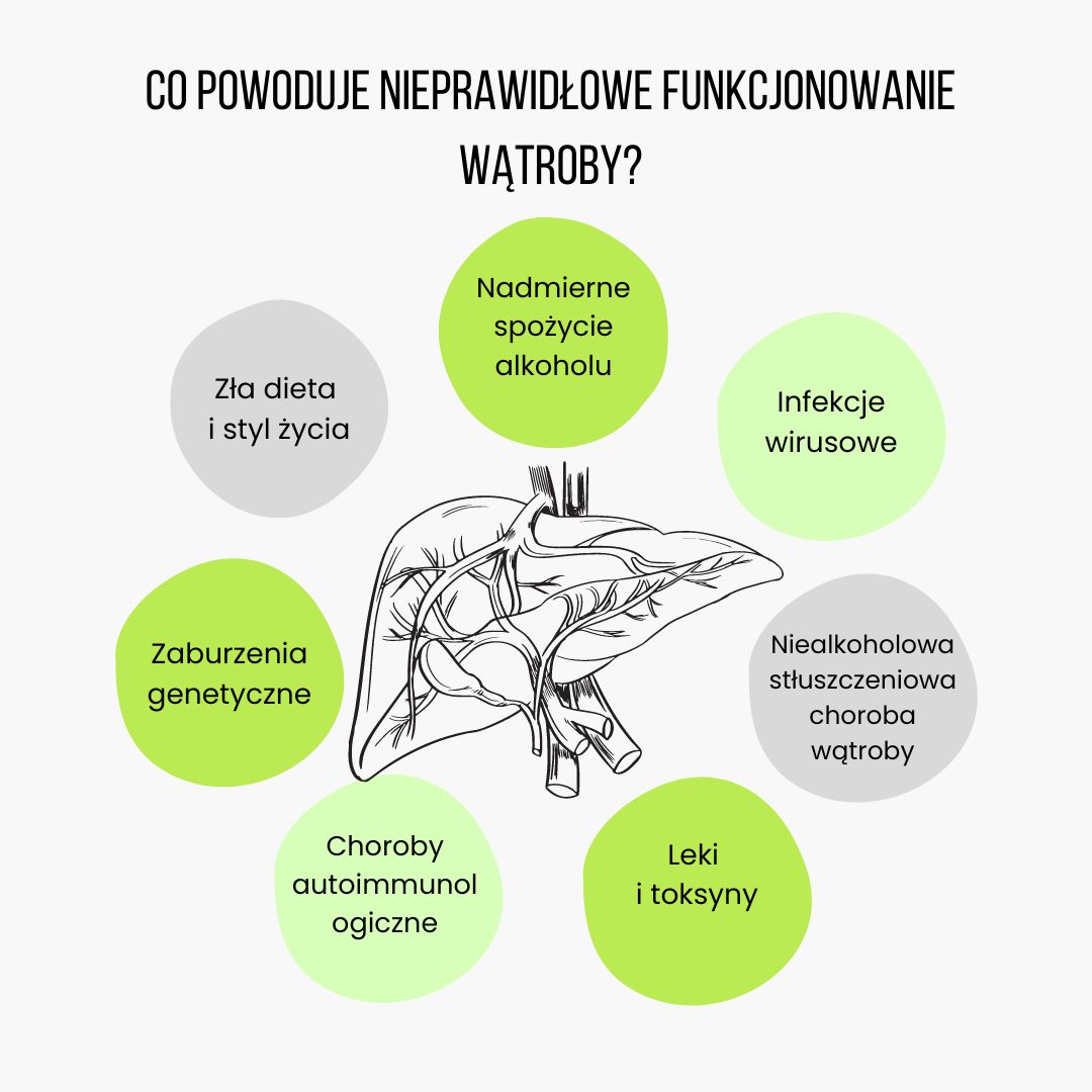 (Polština) Co způsobuje špatné fungování jater